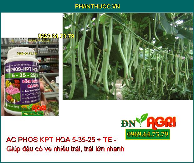 PHÂN BÓN HỖN HỢP NPK AC PHOS KPT HOA 5-35-25 + TE - Kích Phát Tố Ra Hoa