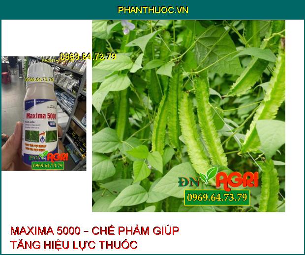 MAXIMA 5000 – CHẾ PHẨM TRỢ LỰC LOANG TRẢI CỰC NHANH THẤM SÂU CỰC MẠNH