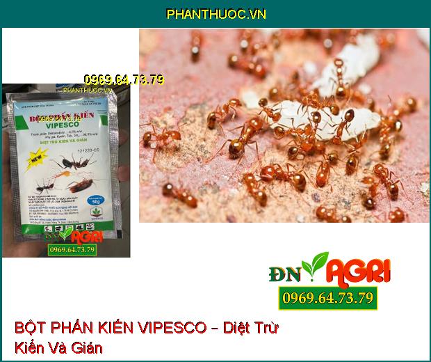 BỘT PHẤN KIẾN VIPESCO – Diệt Trừ Kiến Và Gián