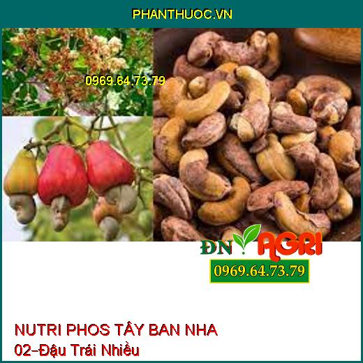 NUTRI PHOS TÂY BAN NHA 02 –Hạn Chế Đen Bông,Đậu Trái Nhiều