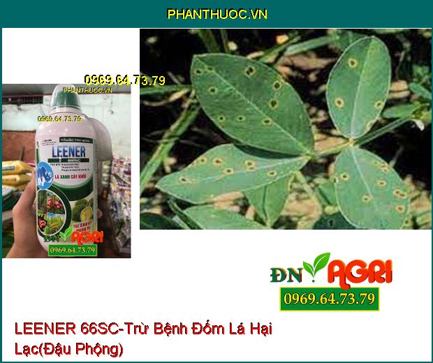 THUỐC TRỪ BỆNH LEENER 66SC –Tác Dụng Kép Sạch Bệnh, Dưỡng Cây, Màu Sáng Đẹp