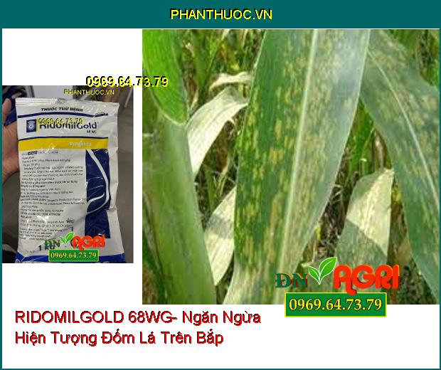 THUỐC TRỪ BỆNH RIDOMILGOLD 68WG- Đặc Trị Sương Mai, Thán Thư, Loét Sọc, Chết Nhanh, Đốm Lá