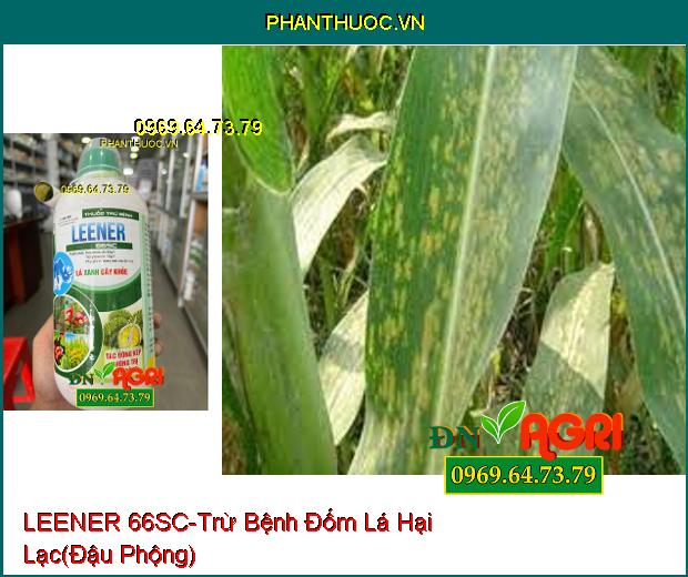 THUỐC TRỪ BỆNH LEENER 66SC – Trừ Bệnh Khô Vằn, Lem Lép, Rỉ Sắt, Đốm Vòng, Phấn Trắng