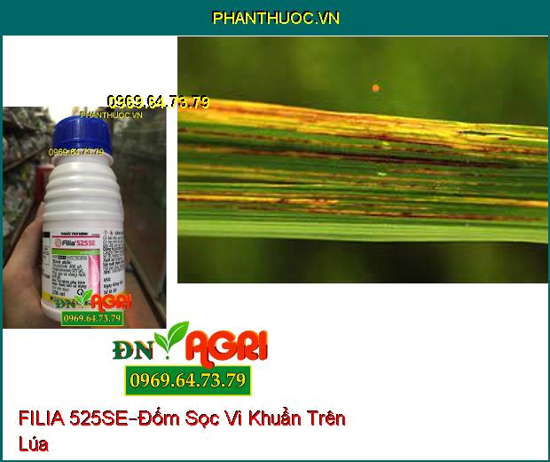 THUỐC TRỪ BỆNH FILIA 525SE –Đặc Trị Đạo Ôn Lá, Cổ Bông, Nhánh Gié, Cuống Hạt