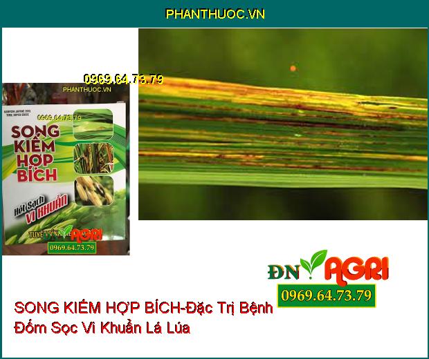 THUỐC TRỪ NẤM BỆNH SONG KIẾM HỢP BÍCH – Đặc Trị Cháy Bìa Lá , Phục Hồi Cây