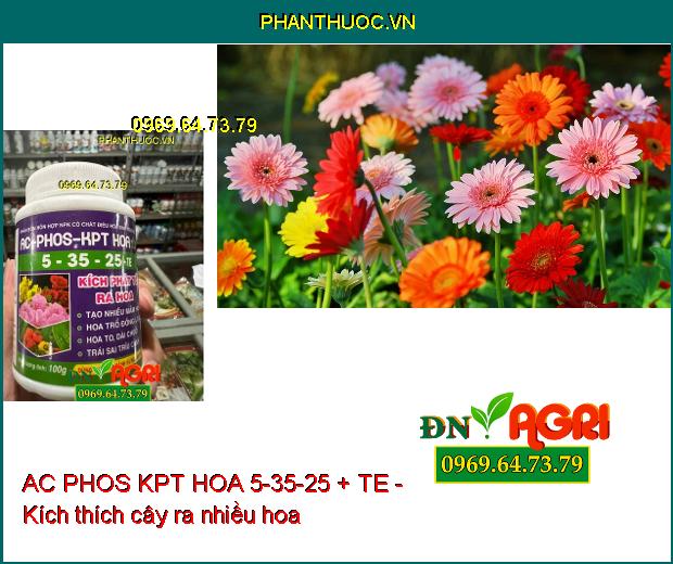 PHÂN BÓN HỖN HỢP NPK AC PHOS KPT HOA 5-35-25 + TE - Kích Phát Tố Ra Hoa