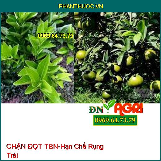 CHẶN ĐỌT TBN – Hạn Chế Rụng Trái, Kiềm Hãm Sự Phát Triển Chồi Ngọn