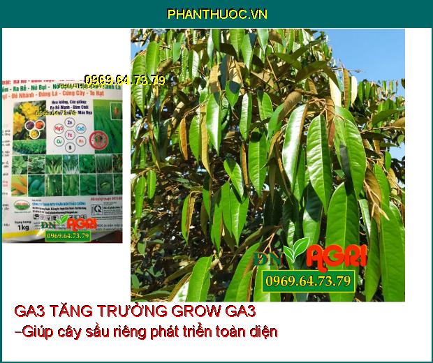 PHÂN BÓN VI LƯỢNG GA3 TĂNG TRƯỞNG GROW GA3 –Đâm Chồi Nhanh, Chống Vàng Lá