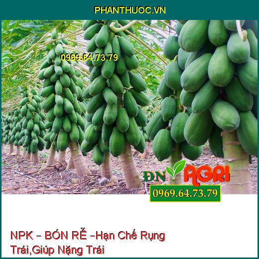 PHÂN BÓN HỖN HỢP NPK – BÓN RỄ –Hạn Chế Rụng Trái, Vàng Lá, Giúp Nặng Trái