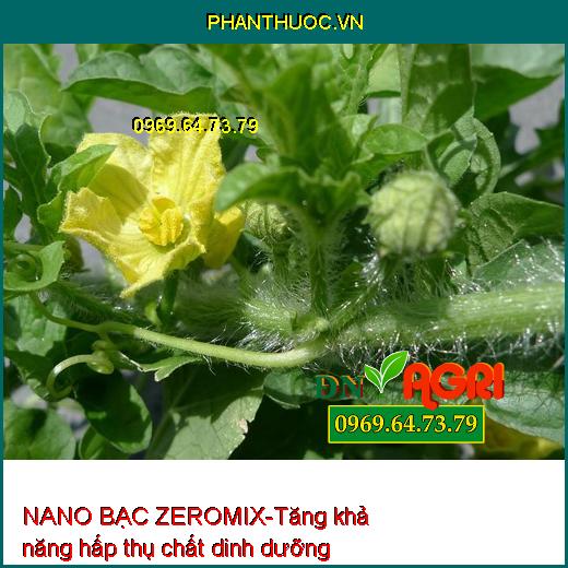 PHÂN BÓN LÁ NANO BẠC ZEROMIX- Ngừa Nấm Và Vi Khuẩn