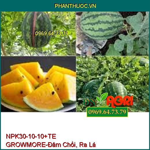 PHÂN BÓN LÁ NPK 30-10-10 +TE GROWMORE- Đẻ Nhánh, Đâm Chồi, Ra Lá Tốt