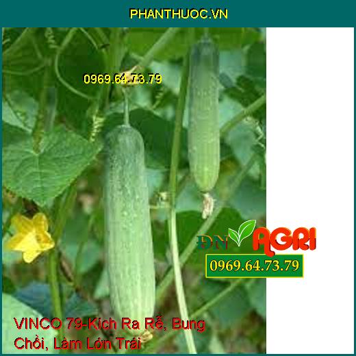 PHÂN BÓN LÁ TRUNG LƯỢNG VINCO 79 – Kích Ra Rễ, Bung Chồi, Làm Lớn Trái, Phục Hồi Cây