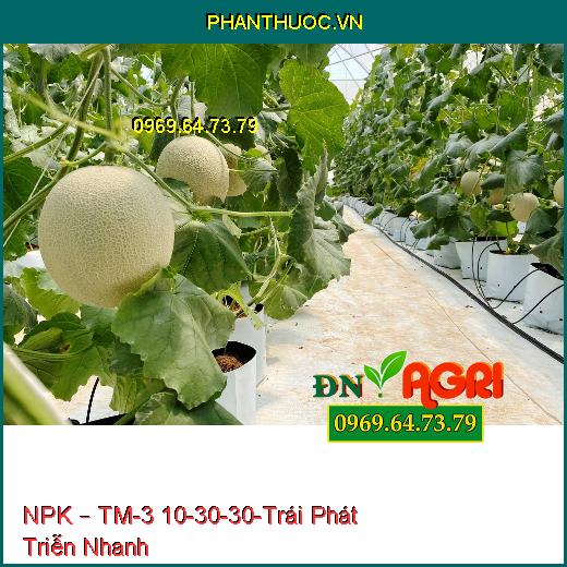 PHÂN BÓN NPK – TM-3 10-30-30-Trái Phát Triễn Nhanh, Tăng Độ Ngọt, Nhiều Nước