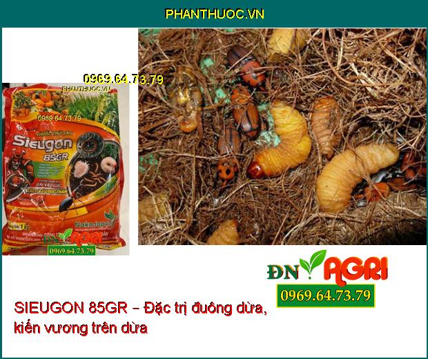 SIEUGON 85GR – Đặc Trị Đuông Dừa, Sùng Đất, Bọ Dừa, Kiến Vương Trên Dừa