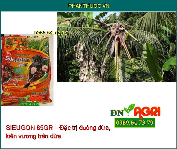 SIEUGON 85GR – Đặc Trị Đuông Dừa, Sùng Đất, Bọ Dừa, Kiến Vương Trên Dừa