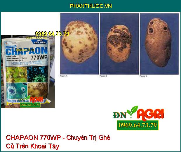 THUỐC TRỪ BỆNH CHAPAON 770WP - Chuyên Trị Vi Khuẩn Trên Khoai Tây