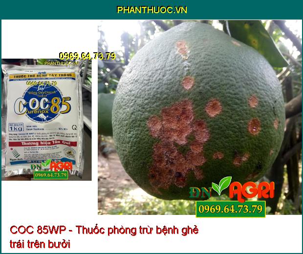 COC 85WP - Thuốc phòng trừ nấm bệnh