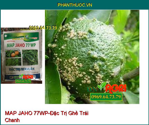 THUỐC TRỪ BỆNH MAP JAHO 77WP -Đặc Trị Nấm, Vi Khuẩn