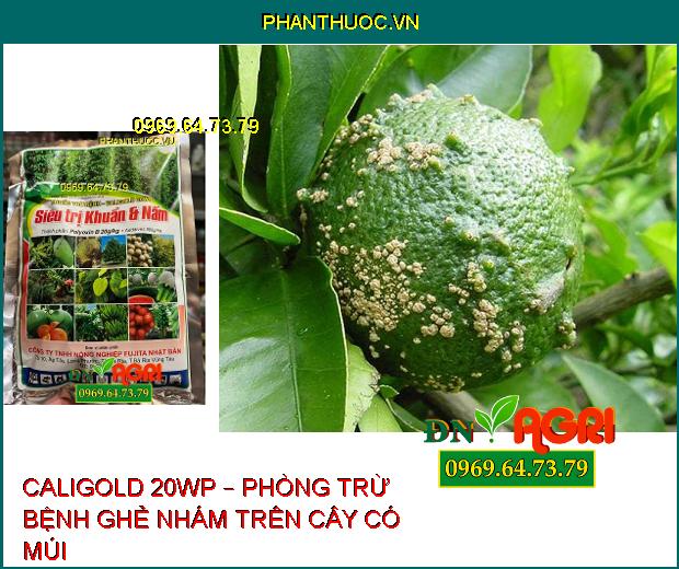 THUỐC TRỪ BỆNH CALIGOLD 20WP – SIÊU TRỊ KHUẨN VÀ NẤM HẠI CÂY TRỒNG 