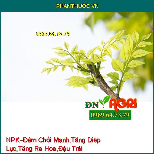 PHÂN BÓN LÁ HỖN HỢP NPK –Đâm Chồi Mạnh,Gia Tăng Diệp Lục , Tăng Ra Hoa, Đậu Trái