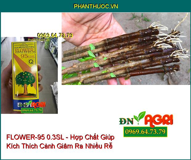 FLOWER-95 0.3SL - Hợp Chất Tăng Đậu Quả Và Kích Thích Tăng Trưởng