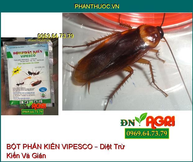 BỘT PHẤN KIẾN VIPESCO – Diệt Trừ Kiến Và Gián