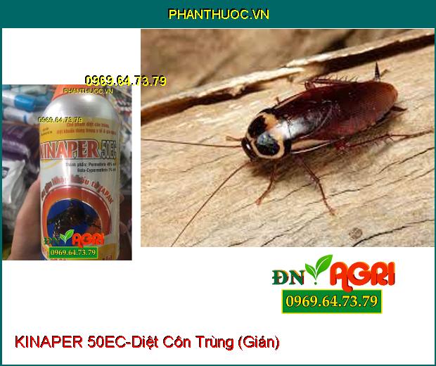 CHẾ PHẨM DIỆT CÔN TRÙNG KINAPER 50EC-Tẩm Rèm, Phun Diệt Côn Trùng Trong Nhà