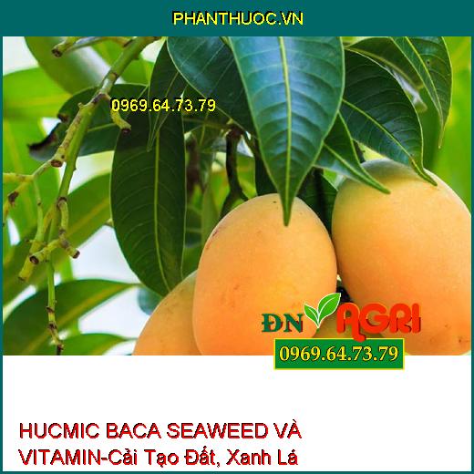 PHÂN BÓN LÁ KALI SINH HỌC HUCMIC BACA SEAWEED VÀ VITAMIN-Cải Tạo Đất, Xanh Lá