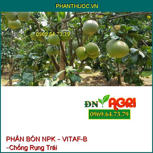 PHÂN BÓN HỖN HỢP NPK – VITAF-B –Chống Rụng Trái ,Tăng Thời Gian Bảo Quản