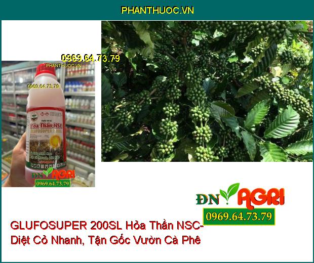 GLUFOSUPER 200SL Hỏa Thần NSC- Cỏ Cháy Sinh Học Diệt Cỏ Nhanh, Tận Gốc