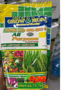 GROW MORE NPK 20-20-20 + TE TO CỦ LỚN TRÁI CHẮC HẠT