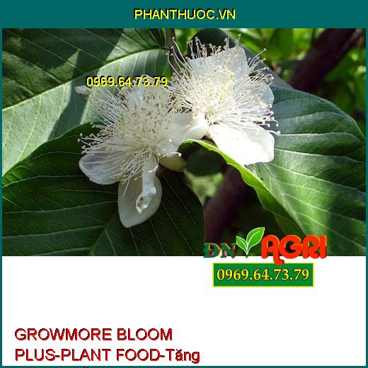 PHÂN BÓN LÁ GROWMORE BLOOM PLUS – PLANT FOOD –Tăng Trưởng Rễ, Thu Hoạch Sớm