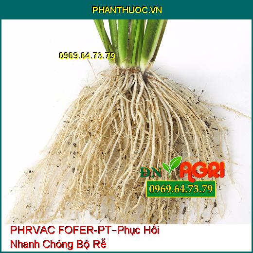 PHÂN BÓN LÁ RVAC FOFER-PT –Phục Hồi Nhanh Chóng Bộ Rễ, Mau Ra Rễ Non