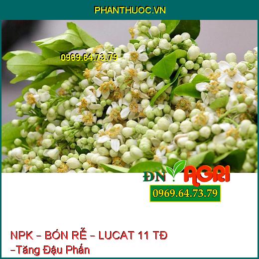 PHÂN BÓN HỖN HỢP NPK – BÓN RỄ – LUCAT 11 TĐ –Tăng Đậu Phấn, Dưỡng Trái Non