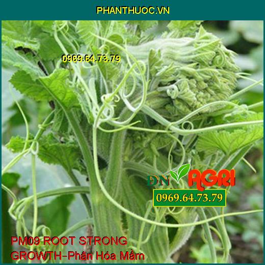 PHÂN BÓN LÁ PM09 ROOT STRONG GROWTH –Giúp Cây Phân Hóa Mầm, Ra Hoa Đồng Loạt