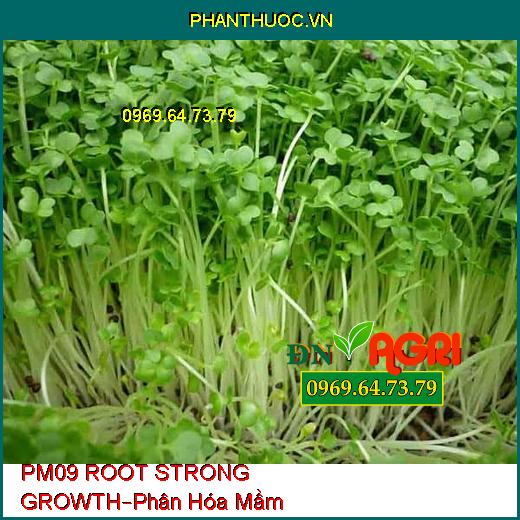 PHÂN BÓN LÁ PM09 ROOT STRONG GROWTH –Giúp Cây Phân Hóa Mầm, Ra Hoa Đồng Loạt