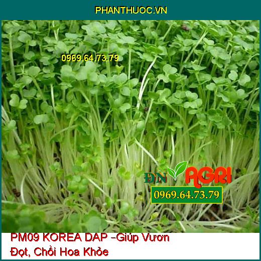 PHÂN BÓN LÁ PM09 KOREA DAP –Giúp Vươn Đọt, Chồi Hoa Khỏe, Tăng Ra Hoa, Đậu Trái