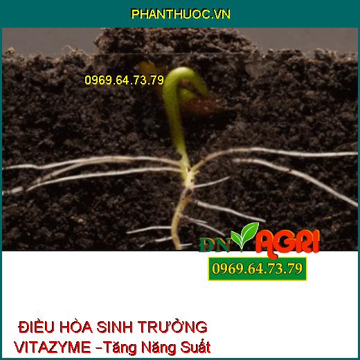 PHÂN BÓN LÁ VI LƯỢNG CÓ CHẤT ĐIỀU HÒA SINH TRƯỞNG VITAZYME –Tăng Năng Suất