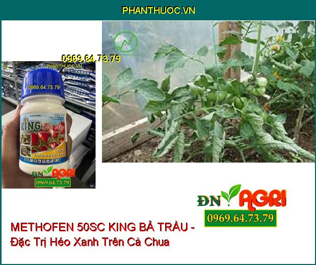 METHOFEN 50SC KING BẢ TRẦU - Đặc Trị Sương Mai , Bệnh Bạc Lá Trên Cà Chua