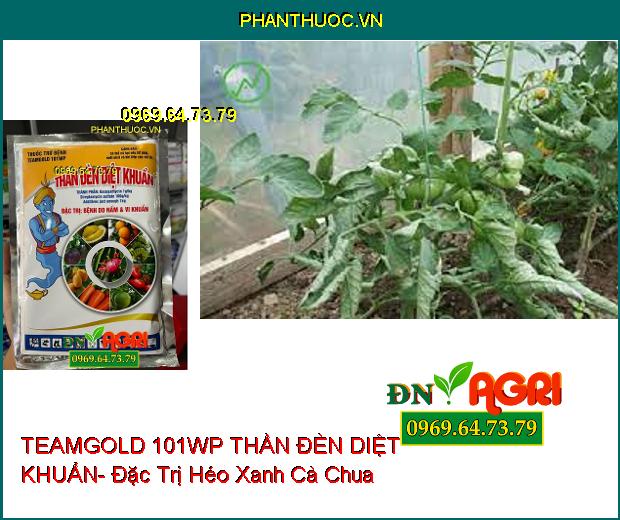 THUỐC TRỪ BỆNH TEAMGOLD 101WP THẦN ĐÈN DIỆT KHUẨN- Đặc Trị Nấm, Vi Khuẩn Trên Cây Trồng