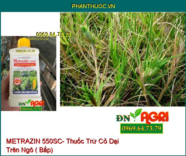 METRAZIN 550SC- Thuốc Trừ Cỏ Dại Trên Ngô ( Bắp)