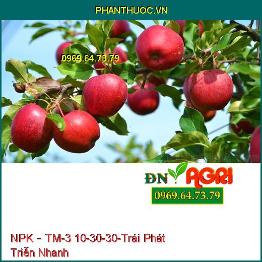 PHÂN BÓN NPK – TM-3 10-30-30-Trái Phát Triễn Nhanh, Tăng Độ Ngọt, Nhiều Nước