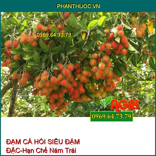 PHÂN BÓN HỮU CƠ ĐẠM CÁ HỒI SIÊU ĐẬM ĐẶC-Hạn Chế Nám Trái, Nâng Cao Năng Suất