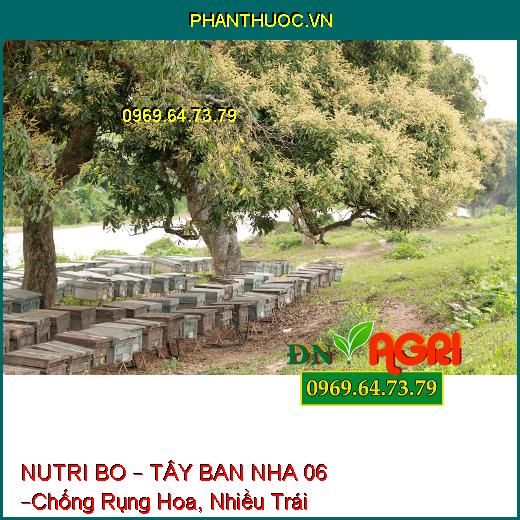 NUTRI BO – TÂY BAN NHA 06 –Chống Rụng Hoa, Trái Non, Mập Bông, Trái Lớn