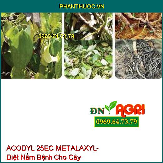 ACODYL 25EC METALAXYL- Diệt Nấm Bệnh Cho Cây 