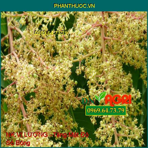 PHÂN BÓN LÁ NK VI LƯỢNG –Tăng Mật Độ Số Bông, Tránh Hiện Tượng Hoa Cách Niên