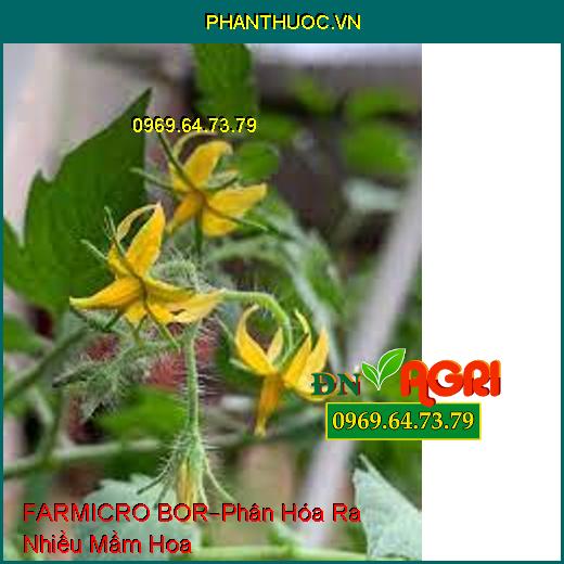 PHÂN BÓN FARMICRO – BOR –Hạn Chế Thiếu Kẽm, Phân Hóa Ra Nhiều Mầm Hoa