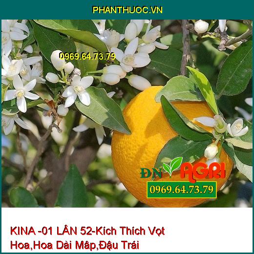 PHÂN BÓN LÁ CAO CẤP KINA – 01 LÂN 52 –Kích Thích Vọt Hoa, Hoa Dài Mâp, Tăng Đậu Trái