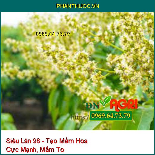 Siêu Lân 98 - Tạo Mầm Hoa Cực Mạnh, Mầm To