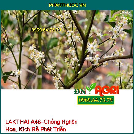 LAKTHAI A48 –Chống Hiện Tượng Nghẽn Hoa, Kích Rễ Phát Triễn